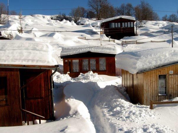 Campeggio Branchetto Hotel Bosco Chiesanuova Exterior photo